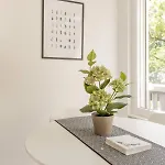 Luxurious 2br Family - Champel Ginebra