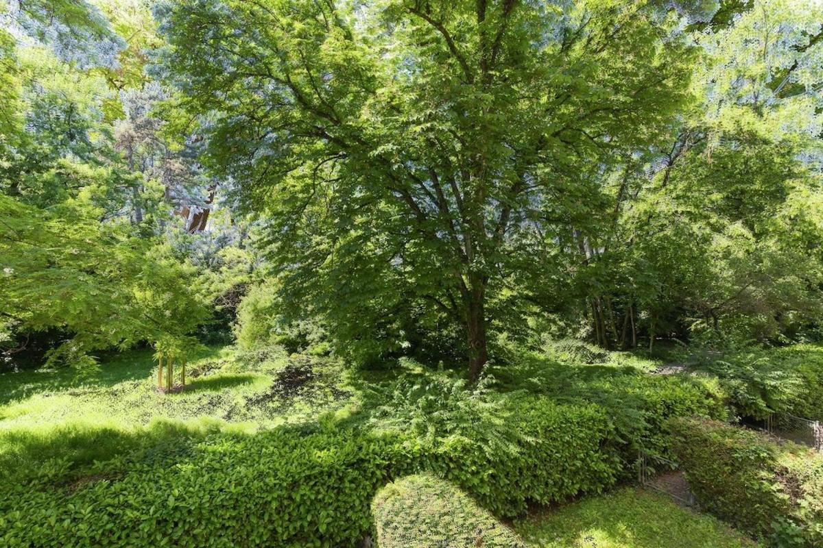 Appartement Luxurious 2br Family - Champel